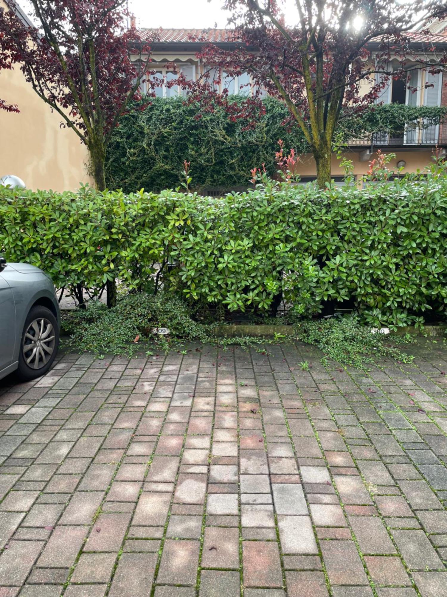 Gelsomino Appartamento Con Posto Auto Nel Centro Di Monza Bagian luar foto